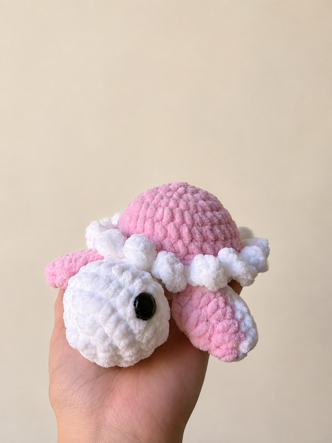 Mini Daisy kornjača