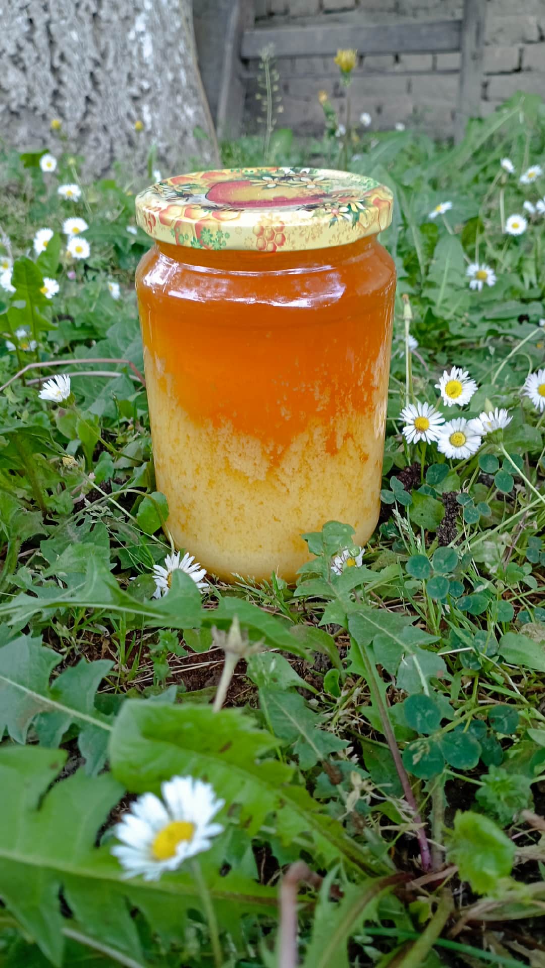 Livadski med 1kg