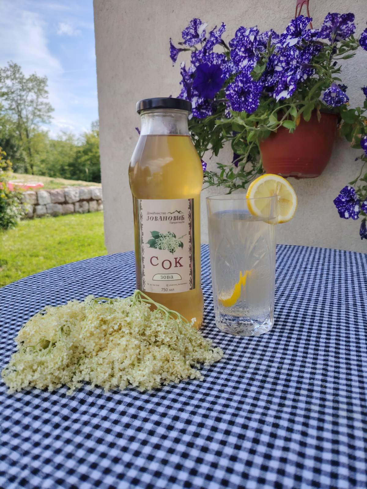 Sirup od zove 🌿