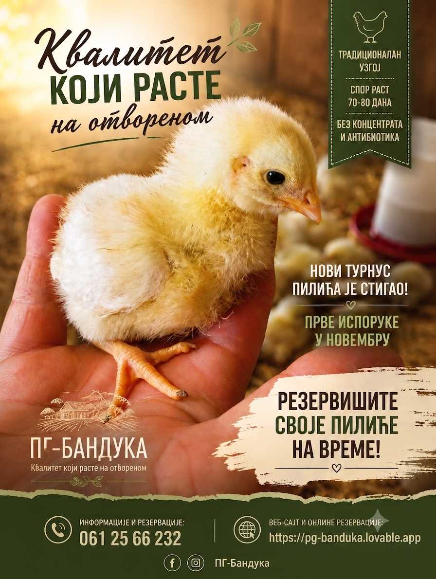 Пилетина
